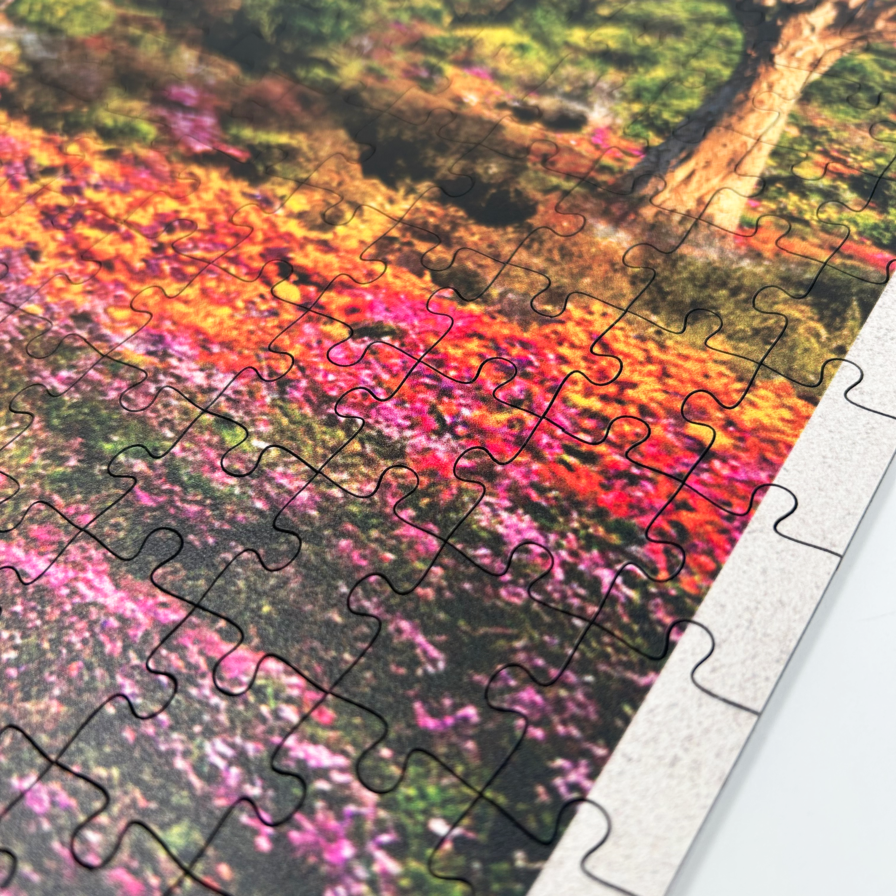 MasterPiece luxury wooden puzzle of African Odyssey Namaqualand poster. Made in Cape Town, South Africa.