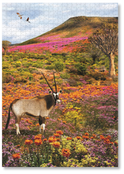 Namaqualand is a MasterPiece wooden jigsaw puzzle from the African Odyssey poster series designed to showcase Africa’s most iconic natural wonders. This one captures the region in South Africa famous for its stunning spring wildflower bloom. Precision-cut from 3mm thick wood and expertly printed, our MasterPiece puzzles offer a tactile and satisfying puzzling experience like no other. They are perfect for art lovers, nature enthusiasts and anyone looking for a thoughtful gift.