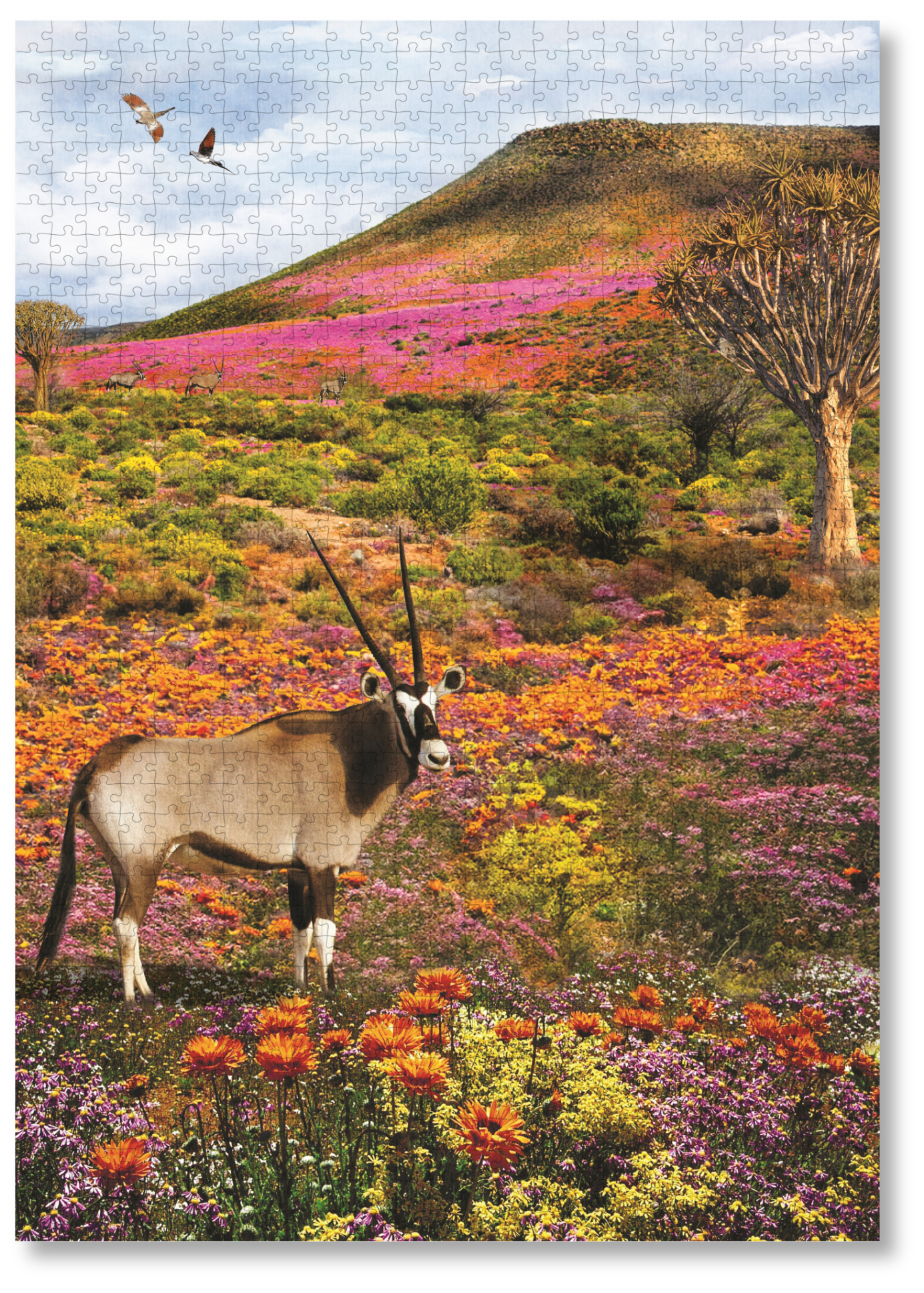 Namaqualand is a MasterPiece wooden jigsaw puzzle from the African Odyssey poster series designed to showcase Africa’s most iconic natural wonders. This one captures the region in South Africa famous for its stunning spring wildflower bloom. Precision-cut from 3mm thick wood and expertly printed, our MasterPiece puzzles offer a tactile and satisfying puzzling experience like no other. They are perfect for art lovers, nature enthusiasts and anyone looking for a thoughtful gift.