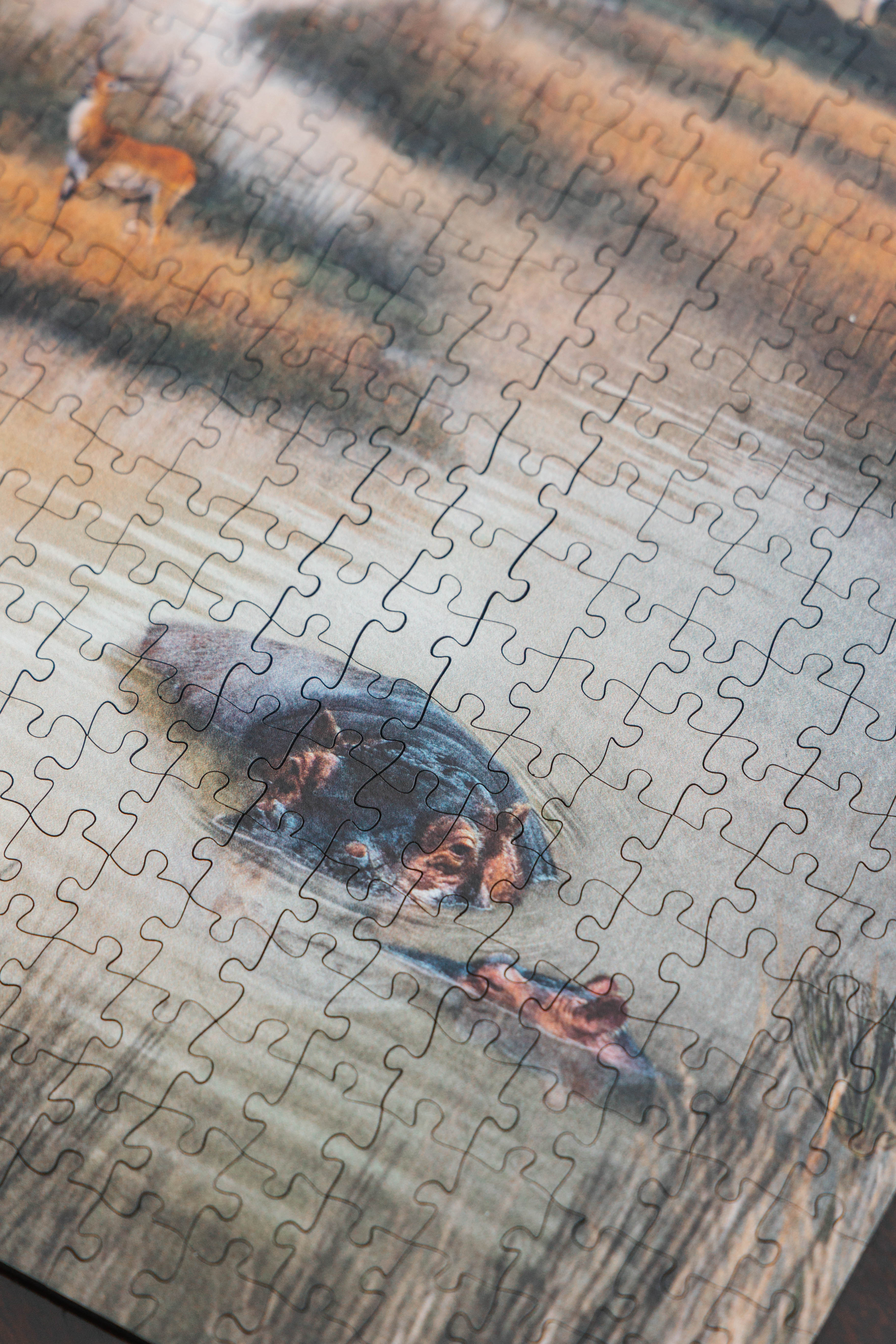 Okavango Delta is a MasterPiece wooden jigsaw puzzle. This design captures the vast wetland in Botswana, renowned for its rich biodiversity and stunning natural beauty. Precision-cut from 3mm thick wood and expertly printed, our MasterPiece puzzles offer a tactile and satisfying puzzling experience like no other. They are perfect for art lovers, nature enthusiasts and anyone looking for a thoughtful gift.