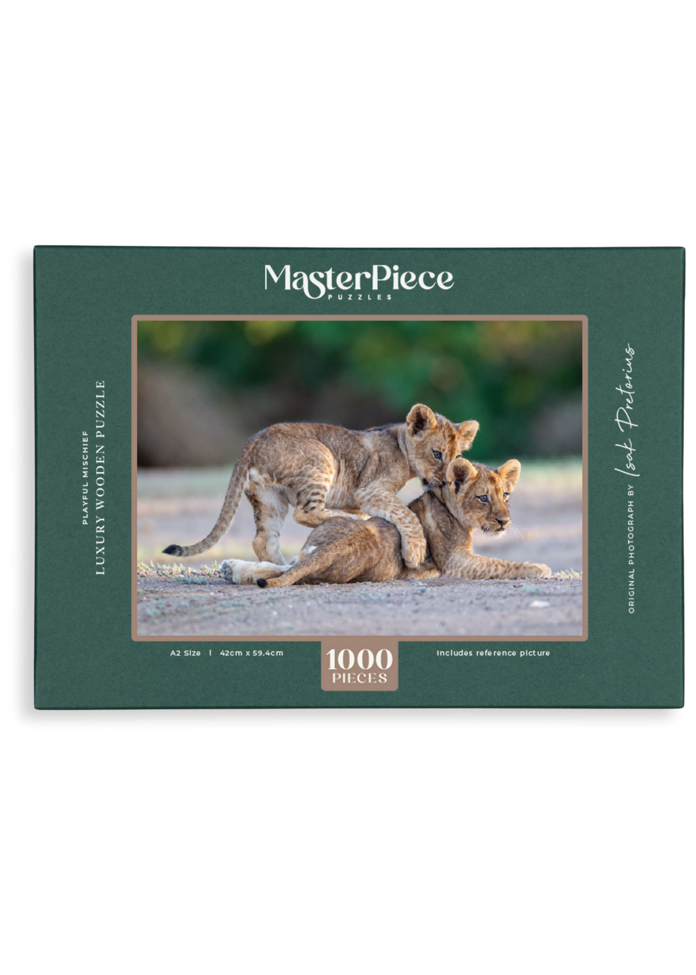 Playful Mischief is a MasterPiece wooden jigsaw puzzle that features a beautiful photograph capturing two lion cubs with one play fighting with the other.

Precision-cut from 3mm wood and expertly printed, our MasterPiece puzzles offer a tactile and satisfying puzzling experience like no other. They are perfect for wildlife lovers, nature enthusiasts and anyone looking for a thoughtful gift. 