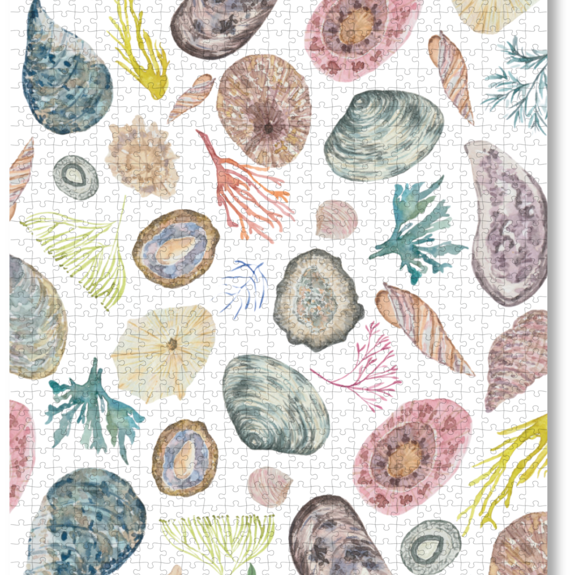 MasterPiece wooden puzzle of awatercolour seashell and seaweed artwork by Tamzin Heynes of Moon and Brush.