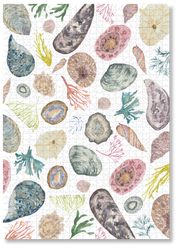 MasterPiece wooden puzzle of awatercolour seashell and seaweed artwork by Tamzin Heynes of Moon and Brush.