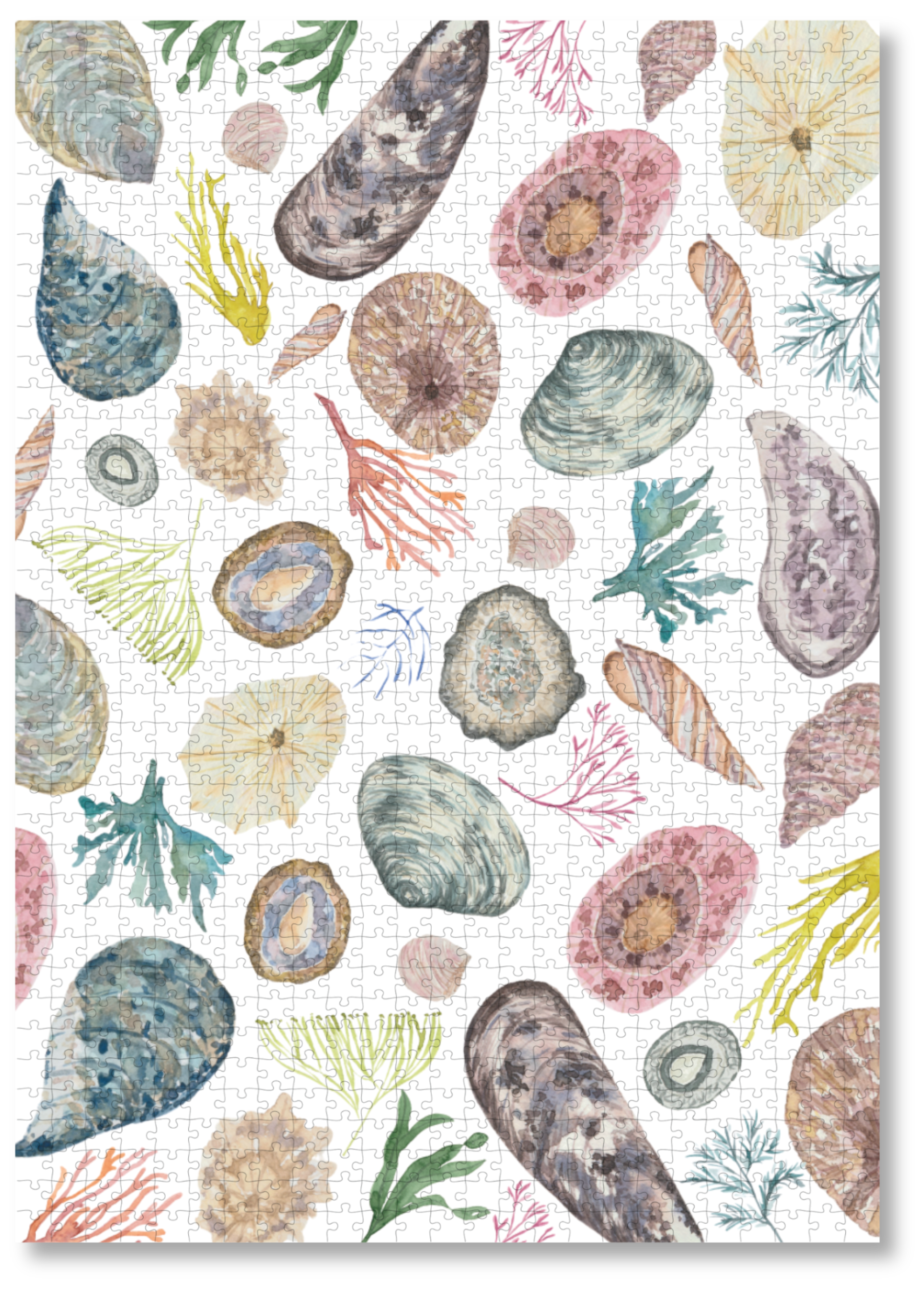 MasterPiece wooden puzzle of awatercolour seashell and seaweed artwork by Tamzin Heynes of Moon and Brush.
