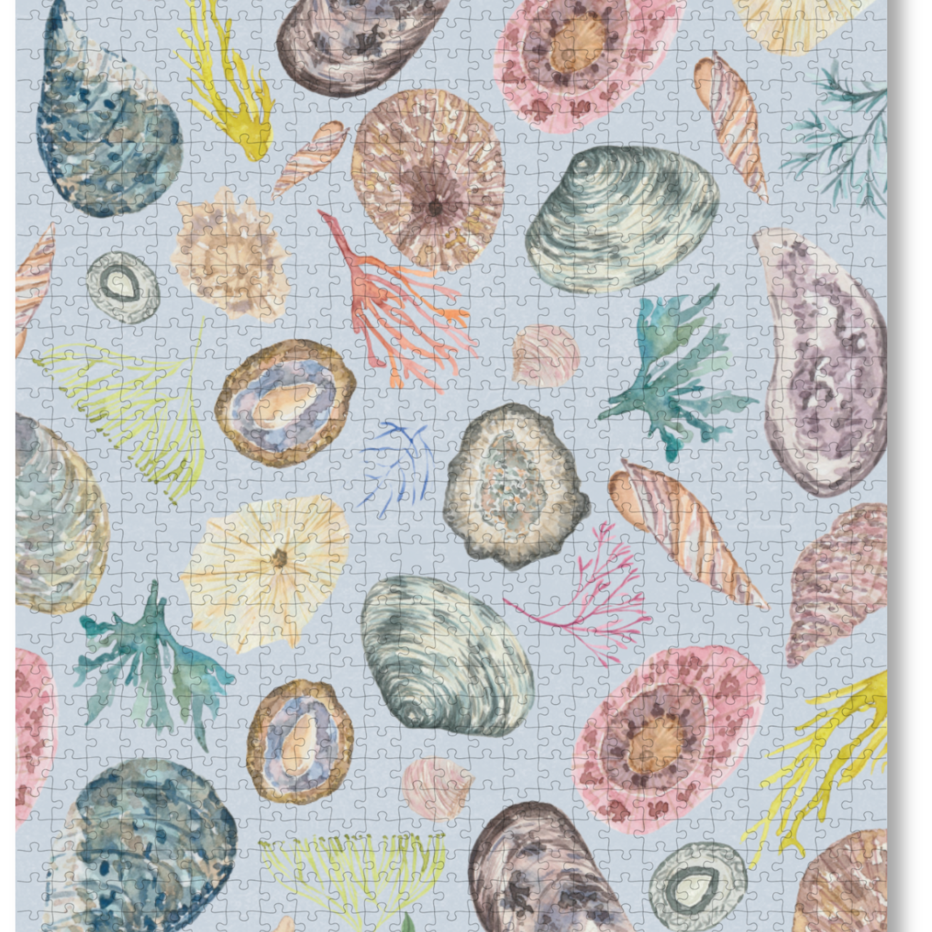 MasterPiece wooden puzzle of awatercolour seashell and seaweed artwork by Tamzin Heynes of Moon and Brush.