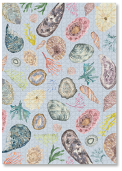 MasterPiece wooden puzzle of awatercolour seashell and seaweed artwork by Tamzin Heynes of Moon and Brush.