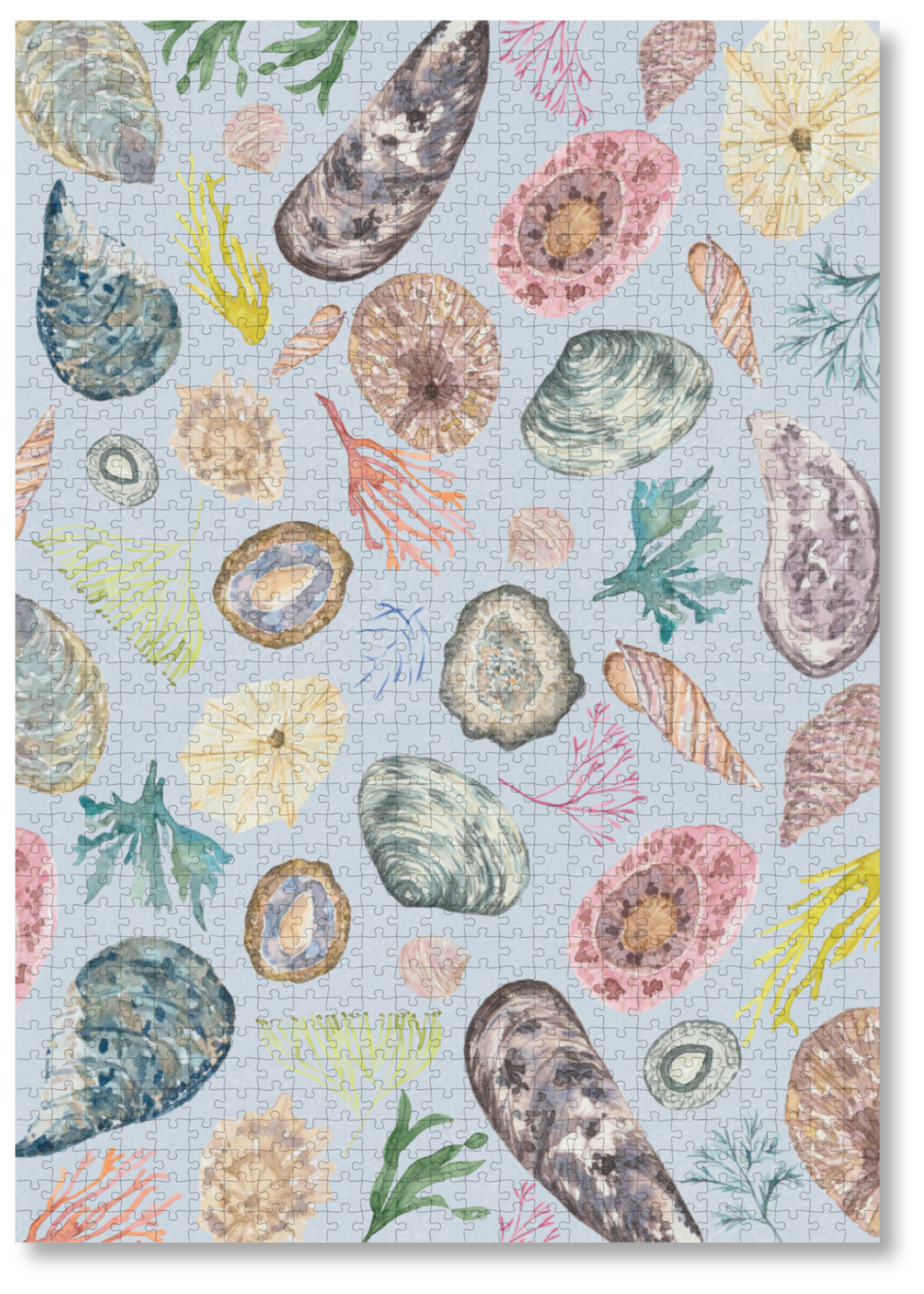 MasterPiece wooden puzzle of awatercolour seashell and seaweed artwork by Tamzin Heynes of Moon and Brush.