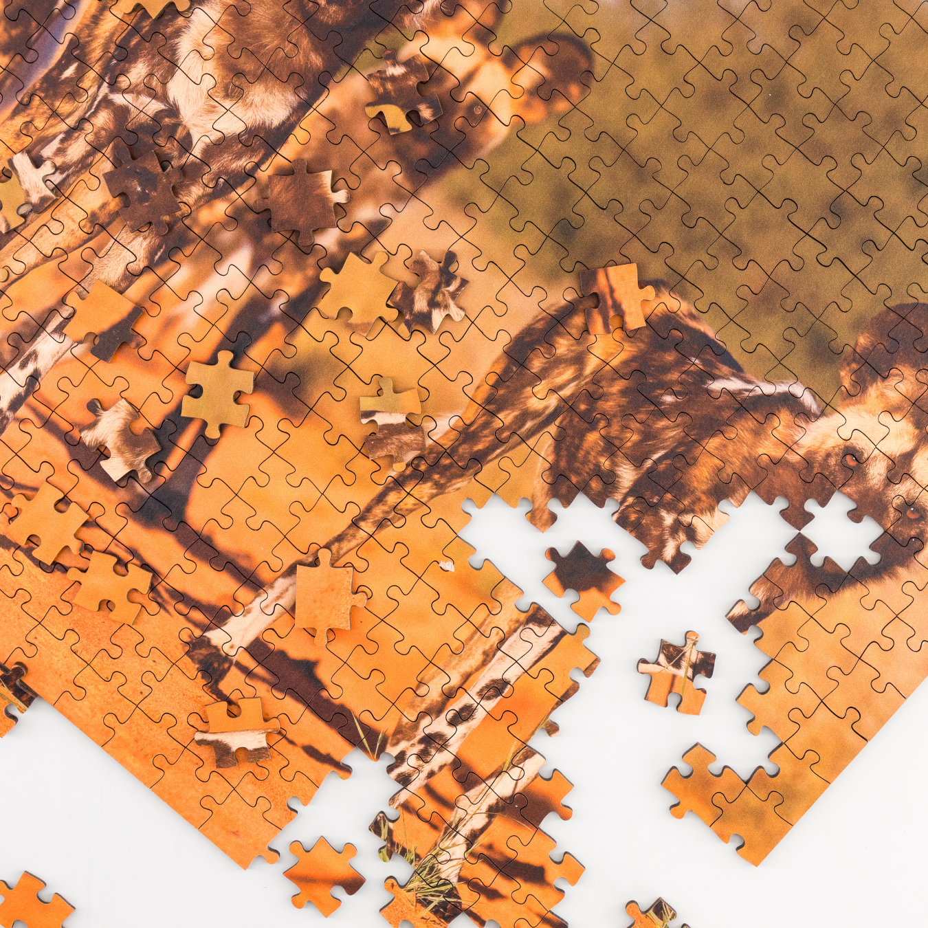 MasterPiece luxury wooden puzzle of a South African wildlife photograph of a pack of wild dogs taken by Richard Flack . A way to disconnect, relieve stress and a great gift idea.
