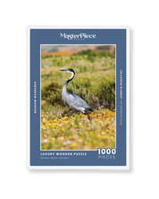 Meadow Wanderer