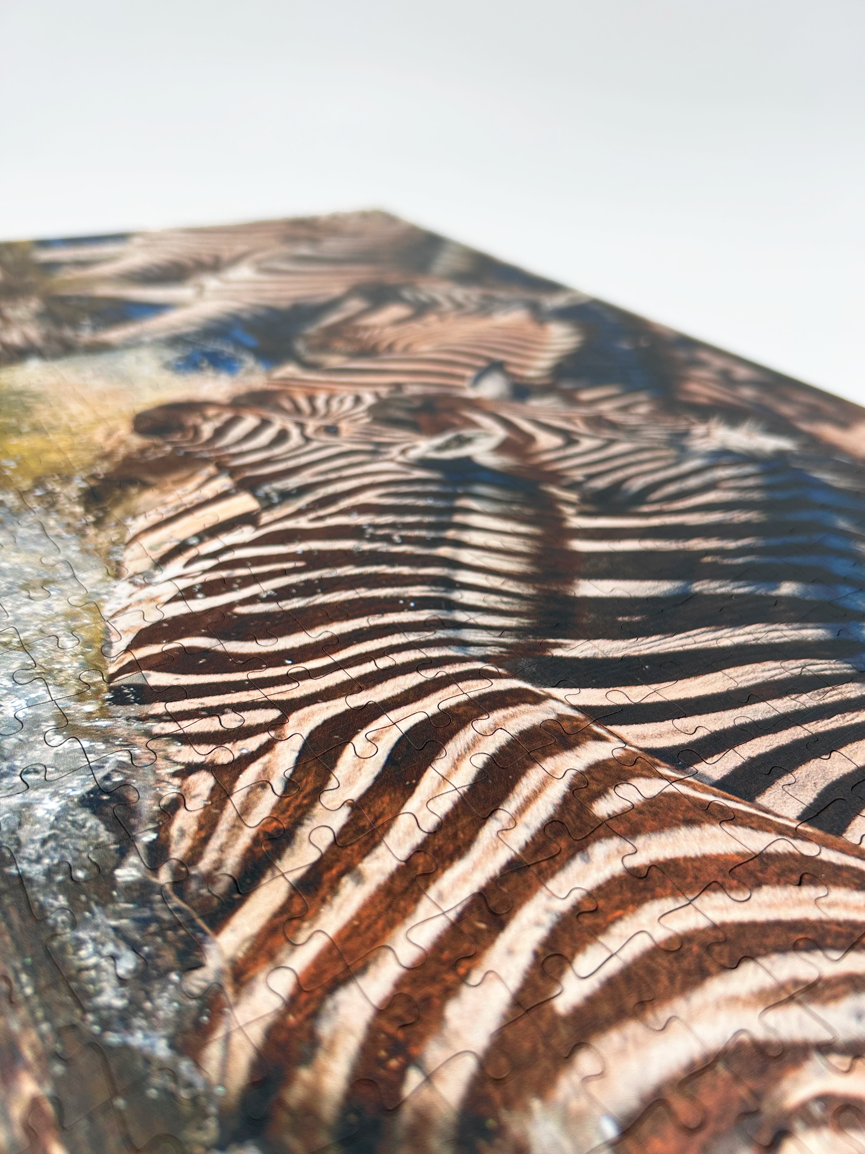 Zebra Crossing