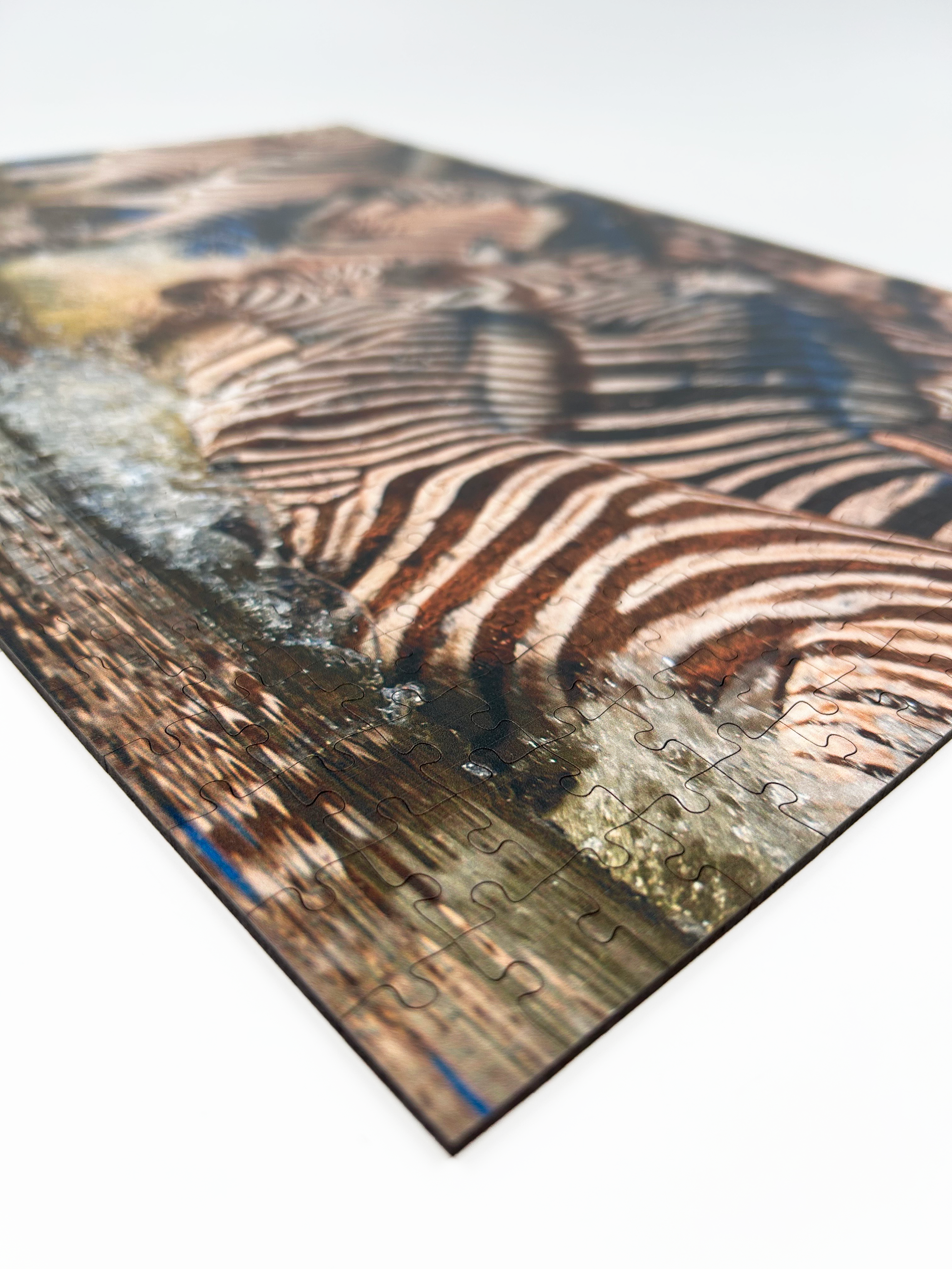 Zebra Crossing