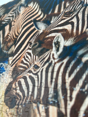 Zebra Crossing is a MasterPiece wooden jigsaw puzzle that features a beautiful photograph of a herd of zebras running through water.

Precision-cut from 3mm wood and expertly printed, our MasterPiece puzzles offer a tactile and satisfying puzzling experience like no other. They are perfect for wildlife lovers, nature enthusiasts and anyone looking for a thoughtful gift.