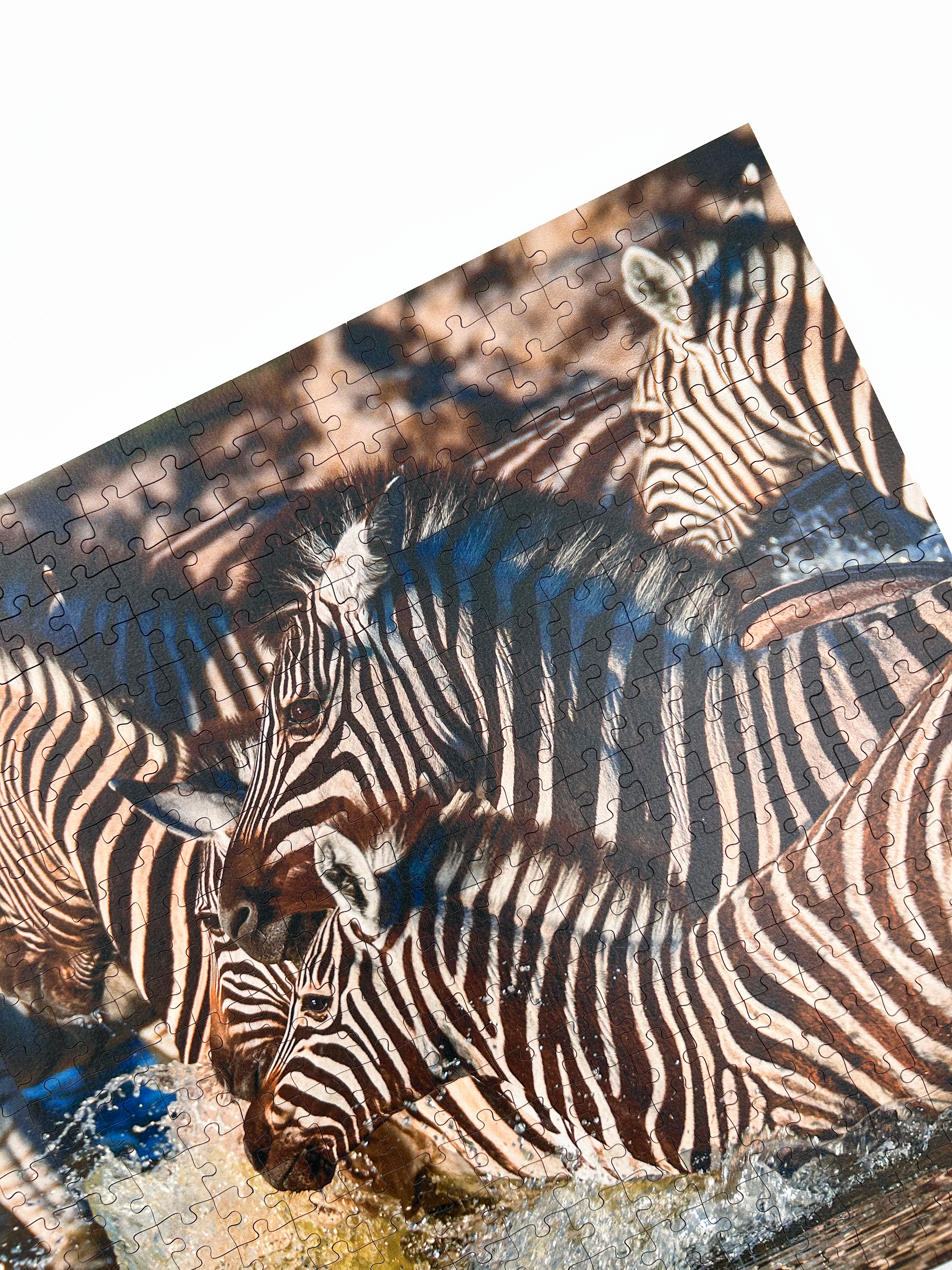 Zebra Crossing is a MasterPiece wooden jigsaw puzzle that features a beautiful photograph of a herd of zebras running through water.

Precision-cut from 3mm wood and expertly printed, our MasterPiece puzzles offer a tactile and satisfying puzzling experience like no other. They are perfect for wildlife lovers, nature enthusiasts and anyone looking for a thoughtful gift.